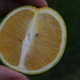 Illustration for article titled Something Is Killing Off America's Orange Supply